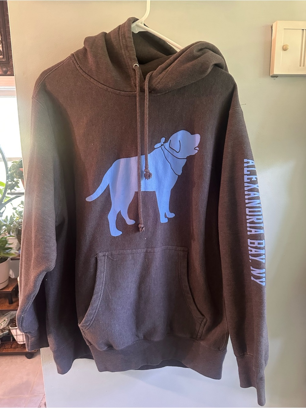 Alexandria Bay Dog Graphic Hoodie - Brown with Blue Print